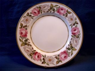 Royal Worcester Royal Garden Dinner Plate(s)    Excellent Condition