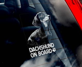 Dachshund   Car Window Sticker   Dog Sign, Short  Haired   n.Collar 