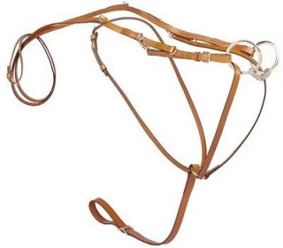 Newly listed TORY LEATHER German Martingale & Reins   Horse  Havana