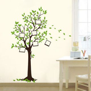 New Photo Frame Tree Birds Wall Stickers Decals Decor Art Mutural 