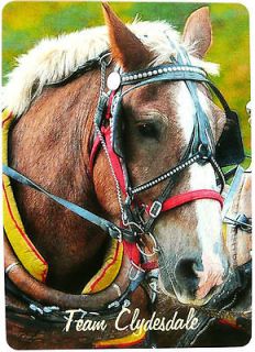 SWAP CARD. CLYDESDALE DRAFT HORSE IN TEAM HARNESS. MINT COND.MODERN 