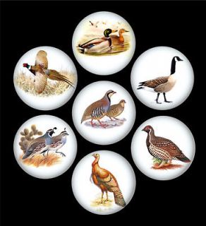button quail in Business & Industrial