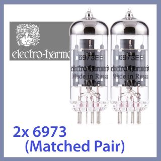   NEW Electro Harmonix 6973 EH 6973EH Vacuum Tubes, Matched Pair TESTED