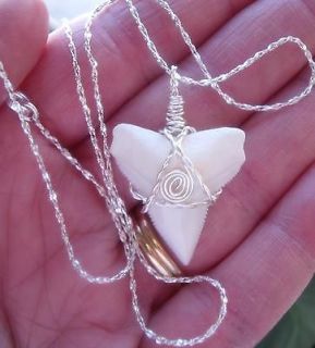 Silver Awesome Upper Modern Bull Shark Tooth Necklace surfer 18 Jaws