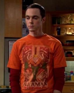   DC Comics Orange Aquaman Sheldon Cooper Costume Adult Tee T Shirt