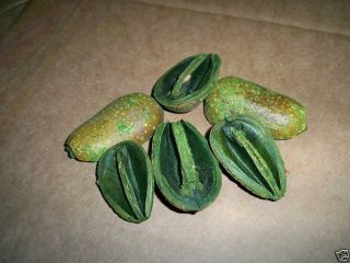 whlse 5 lb 1 2 pear pods green or natural