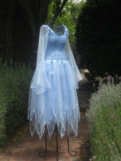 new adult blue plus size carnival fairy dress costume from