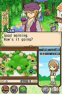 Harvest Moon The Tale of Two Towns Nintendo DS, 2011