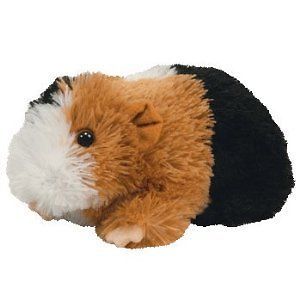 ty beanie baby patches the guinea pig new sale time