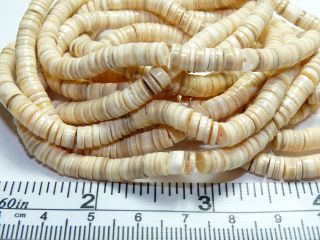 Melon Shell Heishi Beads 3 Strand Lot. 2 Sizes Available. Free 