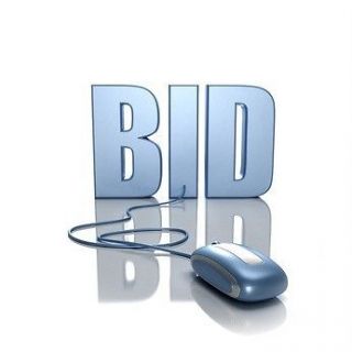 auction software in Computers/Tablets & Networking