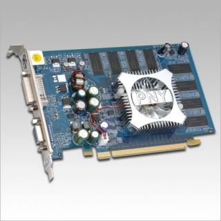PNY Technologies 256 MB Video Card GeForce 7600 DDR