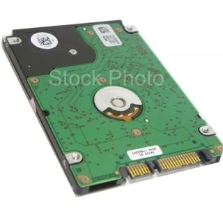 Samsung HM080JI 80GB 5400 RPM 2 5 SATA Notebook Hard Drive 