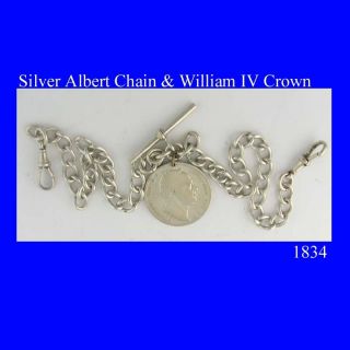 Substantial Albert Fusee Watch Chain 1 2 Crown 1834