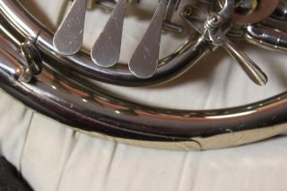 Alexander 101 Professional French Horn in Nickel Silver