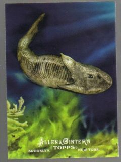 2011 Allen Ginter Ascent of Man 8 Ostracoderms