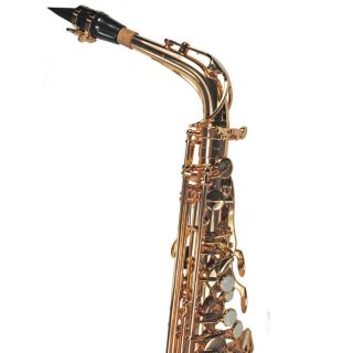 Schiller Elite IV Alto Saxophone Gold Lacquer
