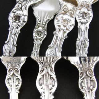   Antique Whiting Sterling Silver 158pc Flatware Set, Art Nouveau Lily