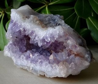 Lovely Amethyst Geode Full of Crystal Points