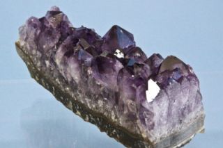 Amethyst Quartz Crystal Geode Specimen Chalcedony Rind Minas Gerais 