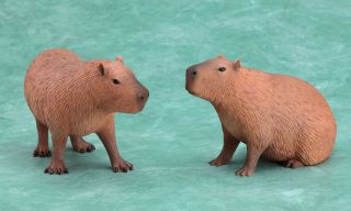 Phat Dokidoki Animal Capybara Standing PVC Figure