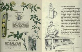 beginner s bee book 1919 author pellett frank chapman