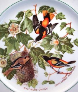 Baltimore Oriole Collector Plate John James Audubon Bird Atlas China 