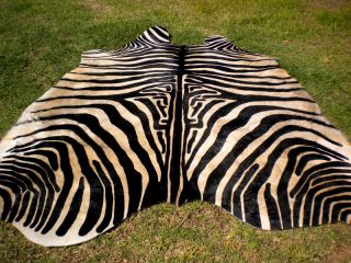 Zebra Print Printed Cowhide Skin Rug Cow Hide DC3700