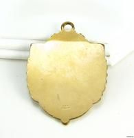 DeMOLAY   Masonic Medal of Appreciation FOB CHARM