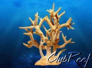 Staghorn Coral Replica Reef Aquarium Decor XLG Peach 80094 17 x 9 x 