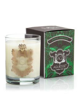 Aquiesse Andean CHERIMOYA Scented Candles Large