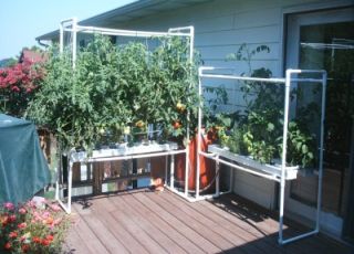 DIY HYDROPONICS AQUAPONIC SYSTEMS HOW TO PLANS Gardening, Kit