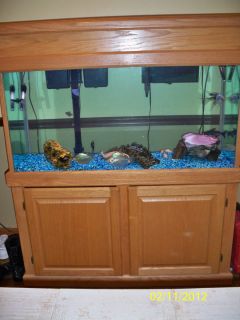 90 Gallon Aquarium Fish Tank w Stand and Canopy