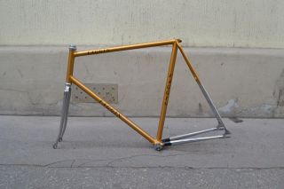   for this and only for this 19 80s track frame and fork faggin size 57
