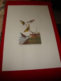   Edition Audubon FOLIO Birds Of America ARKANSAW SISKIN & TANAGER 400
