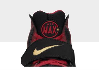Nike Air Max Express Mens Shoe 525224_026_C