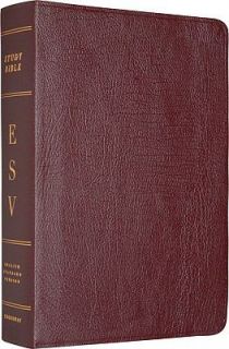 ESV Study Bible 2008, Hardcover