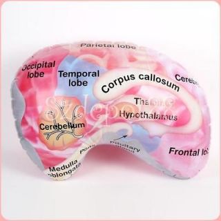 Inflatable Blow up Brain Education Toy Party Favour for Kid fun easy 