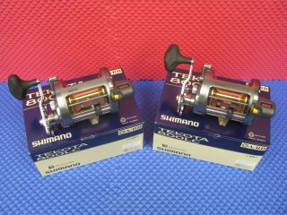 SHIMANO TEKOTA 800LC LEVEL WIND FISHING REEL WITH LINE COUNTER  2 PACK