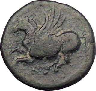 Syracuse Sicily 317BC Agathocles Apollo Pegasus Winged Horse Ancient 