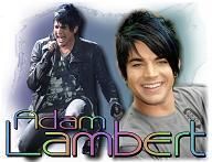 Adam Lambert Fan Hoodie American Idol Any Size Hoody