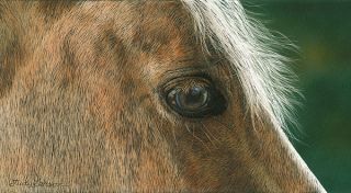 Judy Larson® Golden Giclee Canvas Wild Horse 74 75