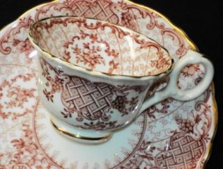 antique Cauldon Westhead Moore DEMI Tea cup and saucer Teacup