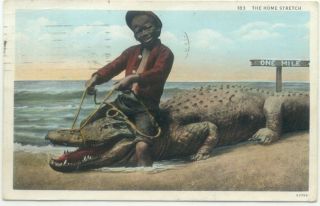 black americana boy riding alligator c1933 postcard mailed in 1933 we 