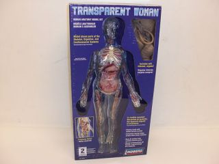 Lindberg Transparent Woman 76013 Human Anatomy Model