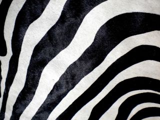 Zebra Print Printed Cowhide Skin Rug Cow Hide DC3672