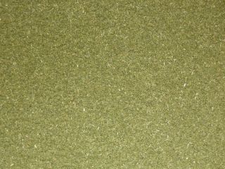 Barley Grass Powder Fresh Green Vitamin Rich 5 Lbs