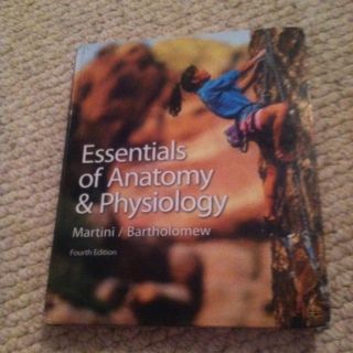   of Anatomy and Physiology Martini Bartholomew 4th Edition