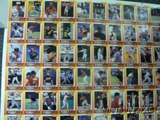 1995 Star Baseball Cal Ripken Jr. 80 card set HUGE UNCUT SHEET Rare 