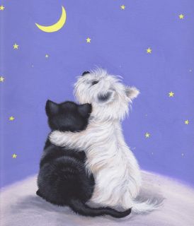   Cat Stargazing Original Open Edition Print by Sue Barratt
